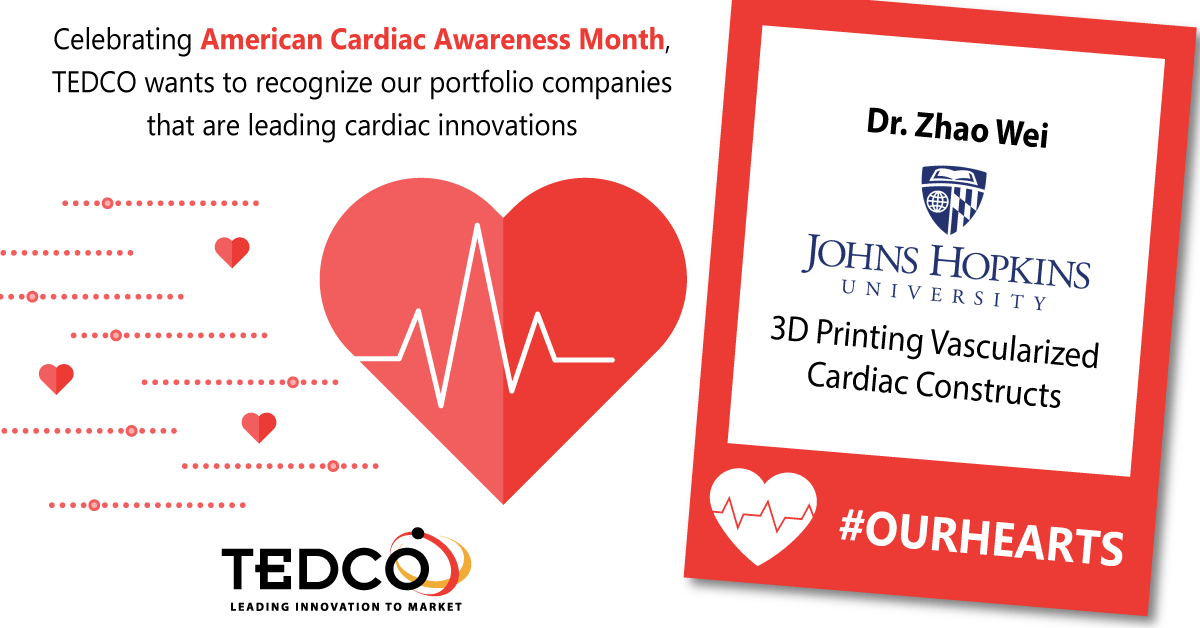 Dr. Zhao We i3D Printing Vascularized Cardiac Constructs Johns Hopkins Universiy