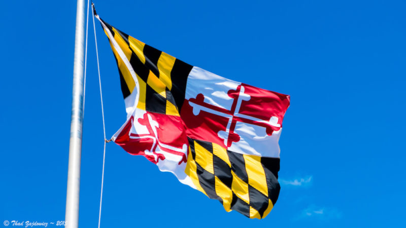 Maryland Flag