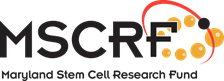 Maryland Stem Cell Research Fund