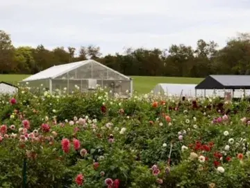 TEDCO’s ARR grant propels Grateful Gardener’s innovative technology in floriculture