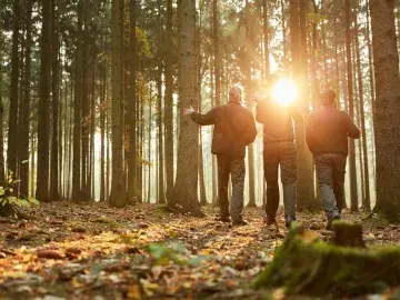 Addressing the misconceptions – Forestry boosts the economy without harming the ecosystem