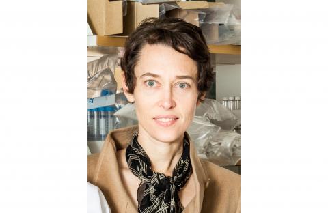 Jennifer Elisseeff