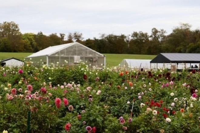 TEDCO’s ARR Grant Propels Grateful Gardener’s Innovative Technology in Floriculture